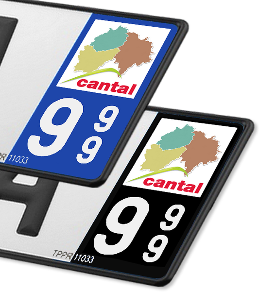 15 Cantal - Département (2009)