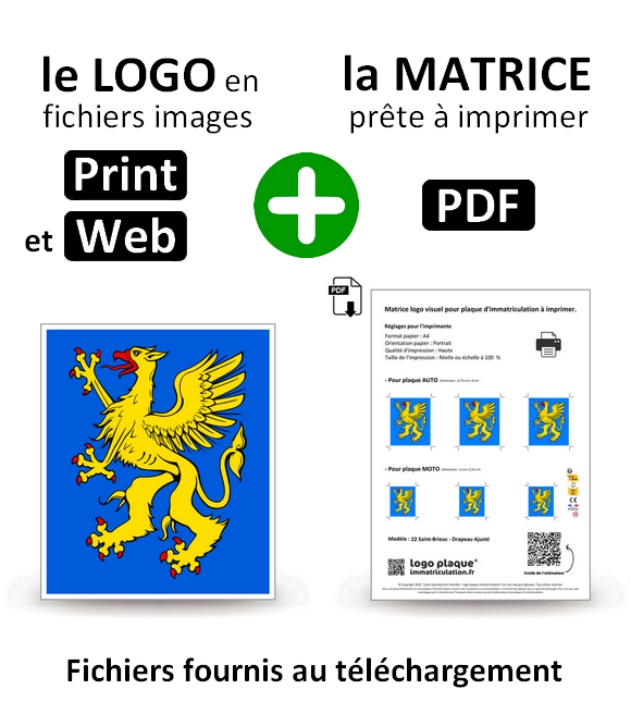 22 Saint-Brieuc - Drapeau Ajusté