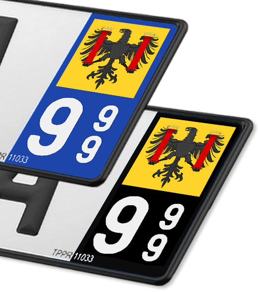 25 Besançon - Drapeau Ajusté