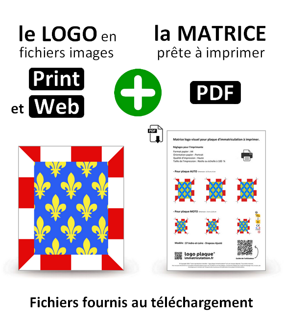 37 Indre-et-Loire - Drapeau Ajusté