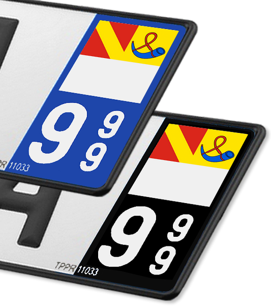 39 Lons-le-Saunier - Drapeau Ajusté