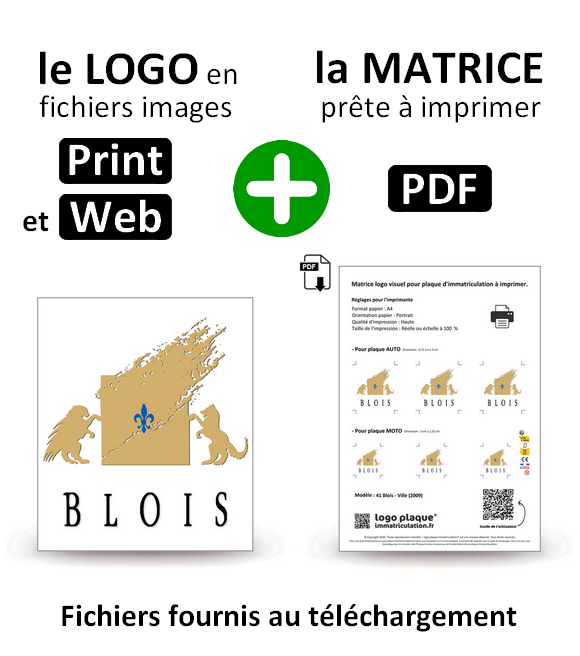 41 Blois - Ville (2009)