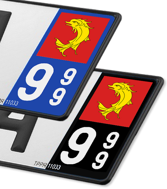 42 Loire - Drapeau Ajusté