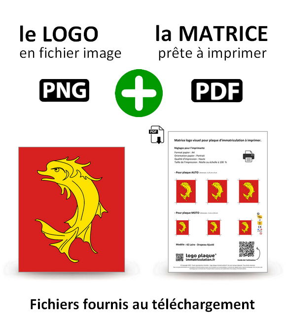 42 Loire - Drapeau Ajusté