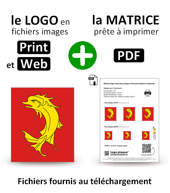 42 Loire - Adjusted Flag