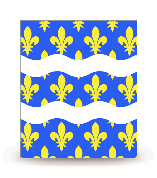 77 Seine-et-Marne - Drapeau Ajusté