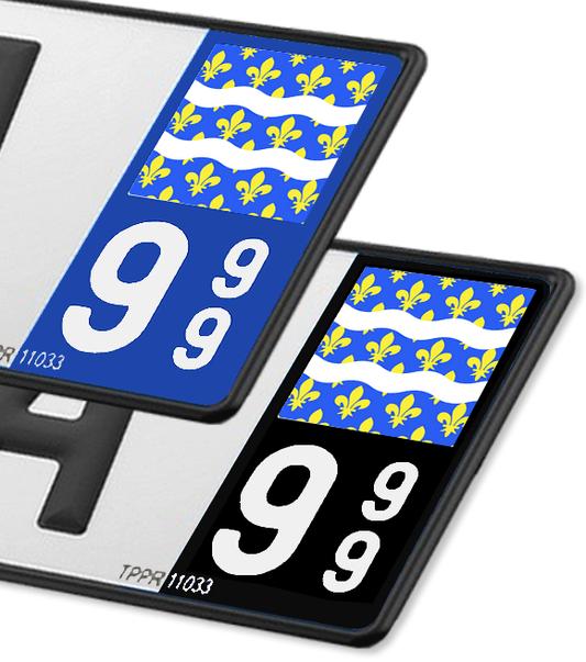 77 Seine-et-Marne - Drapeau Ajusté