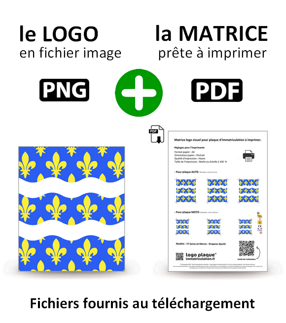 77 Seine-et-Marne - Drapeau Ajusté