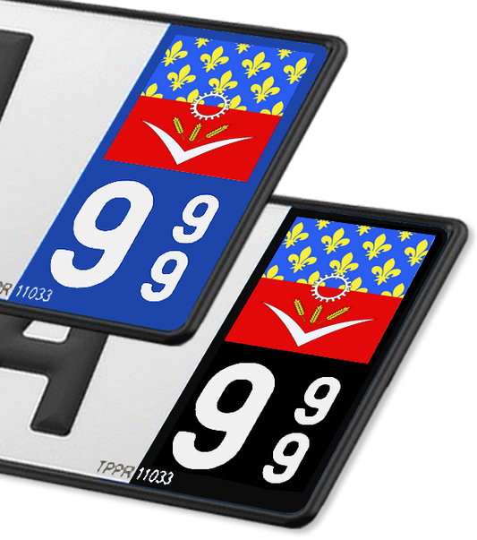 93 Seine-Saint-Denis - Drapeau Ajusté