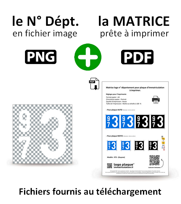 973 - Guyane