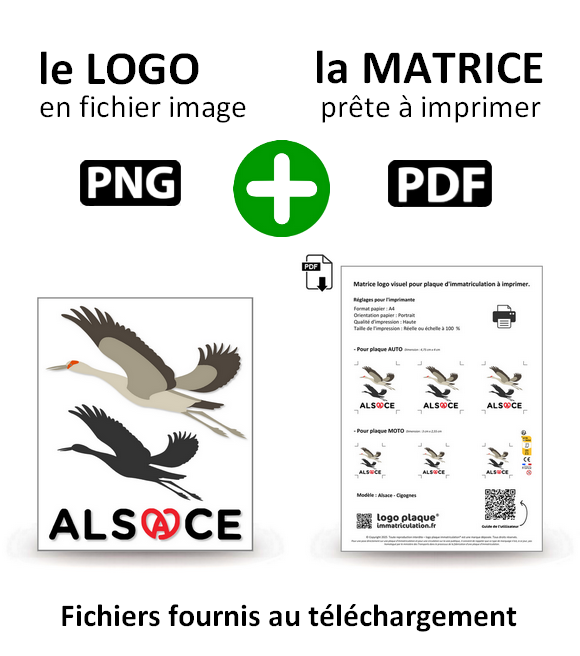 Alsace - Cigognes