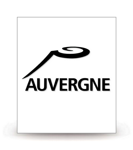 Auvergne - LogoType 2009 BK