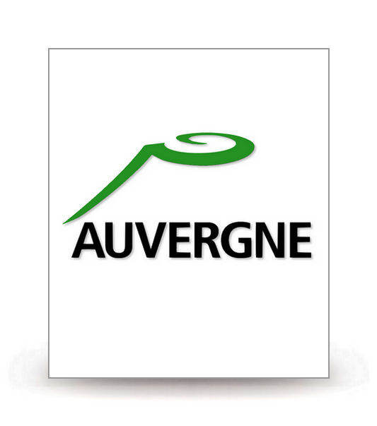 Auvergne - LogoType 2009