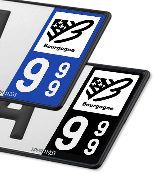 Bourgogne - LogoType 2009 BK