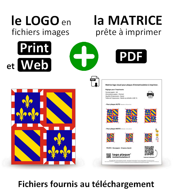 Burgundy - LogoType 2009