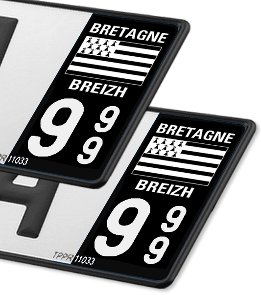 Bretagne - LogoType 2009 FN