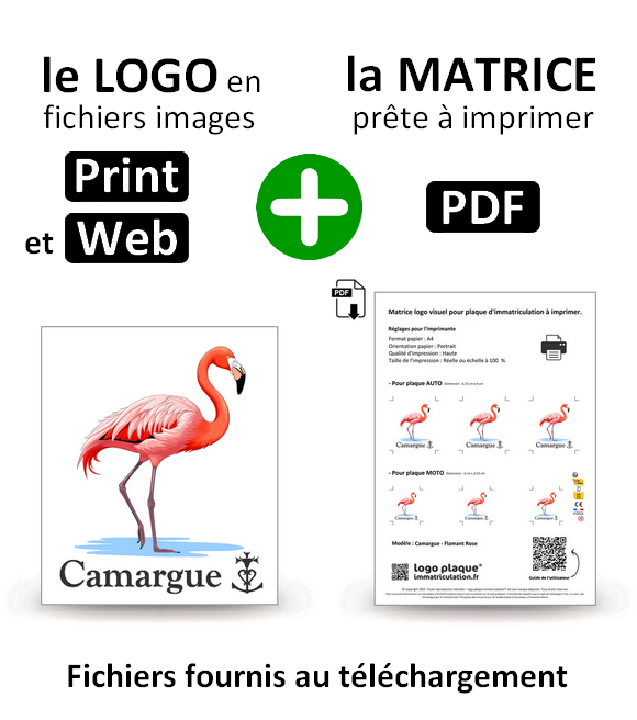 Camargue - Flamant Rose