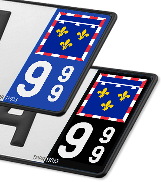 Centre-Val de Loire - Drapeau Ajusté