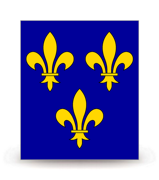 Ile-de-France - Drapeau Ajusté