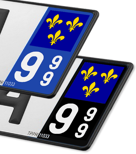 Ile-de-France - Drapeau Ajusté