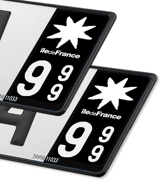 Ile-de-France - LogoType 2009 Blanc FN