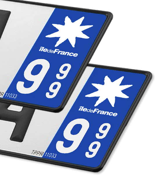 Ile-de-France - LogoType 2009 Blanc