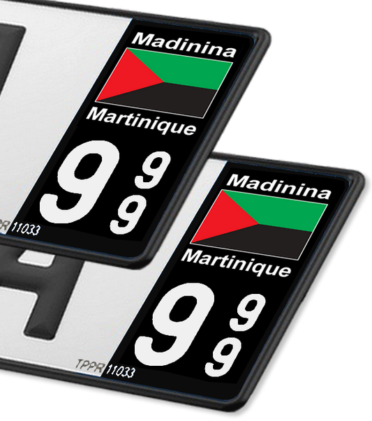 Martinique - Drapeau 2023 FN