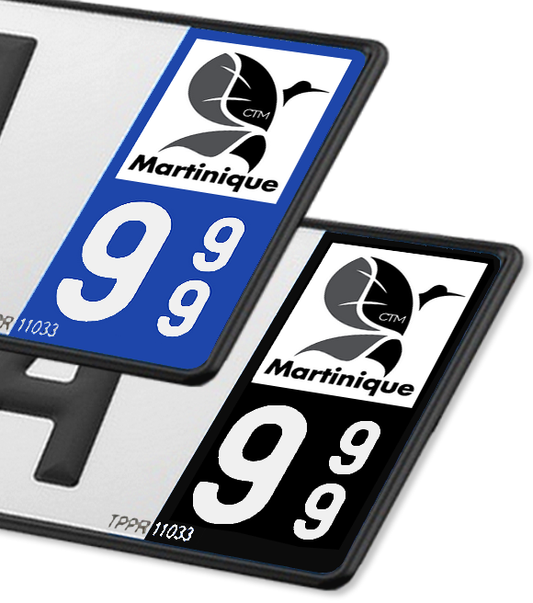 Martinique - LogoType 2019 BK