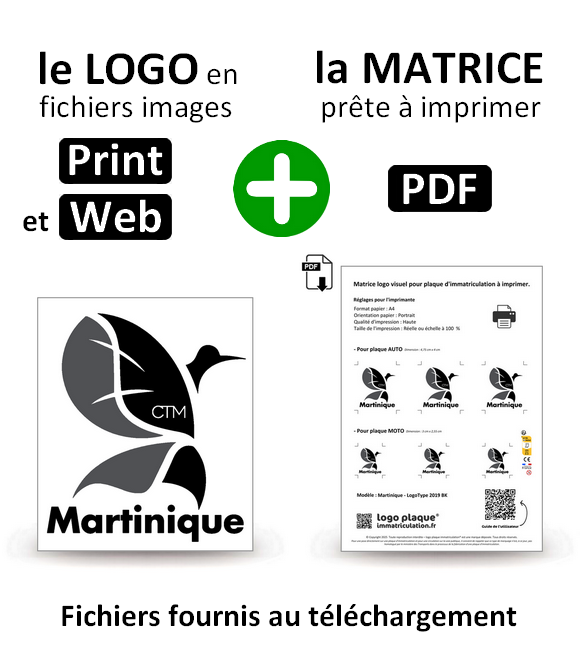 Martinique - LogoType 2019 BK