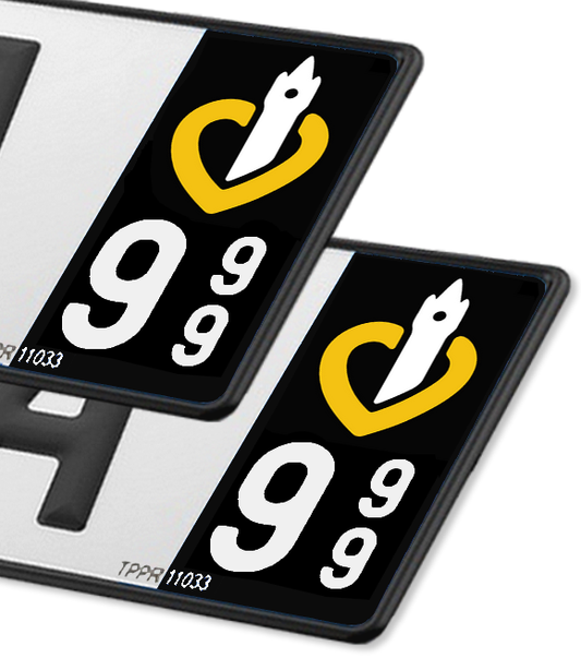 Nord-Pas de Calais - LogoType 2009 FN