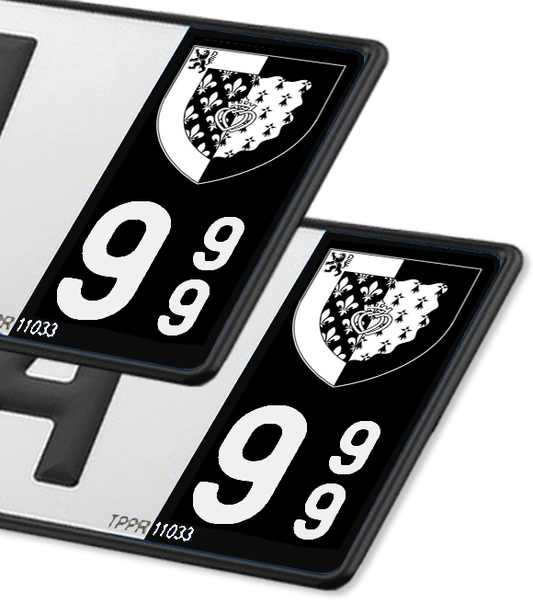 Pays de la Loire - Coat of Arms 2020 BK-FN