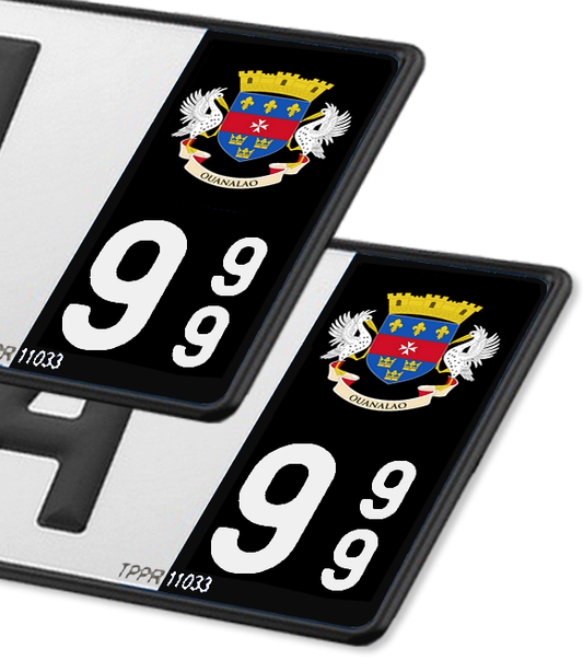 Saint-Barthélemy - Coat of Arms 2014 FN