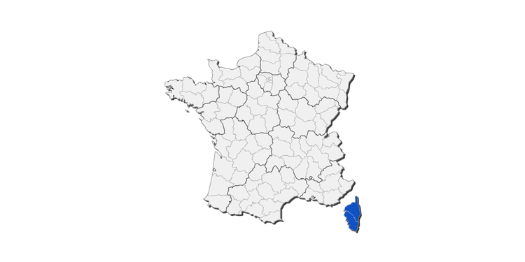 Collection n° département Corse - Autocollant plaque immatriculation®