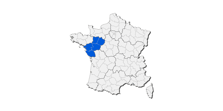 Collection n° Département Pays de la Loire - Autocollant plaque immatriculation®