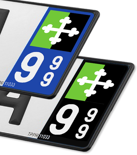 01 Bourg-en-Bresse - Drapeau Ajusté