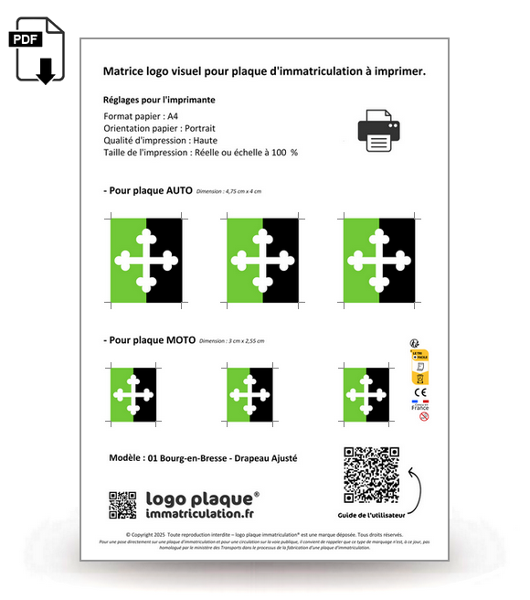 01 Bourg-en-Bresse - Drapeau Ajusté