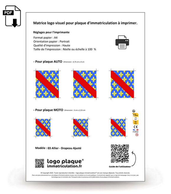03 Allier - Drapeau Ajusté