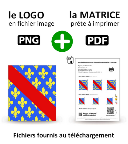 03 Allier - Drapeau Ajusté