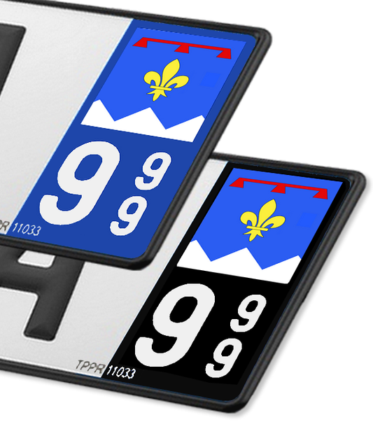 South Region - LogoType 2019