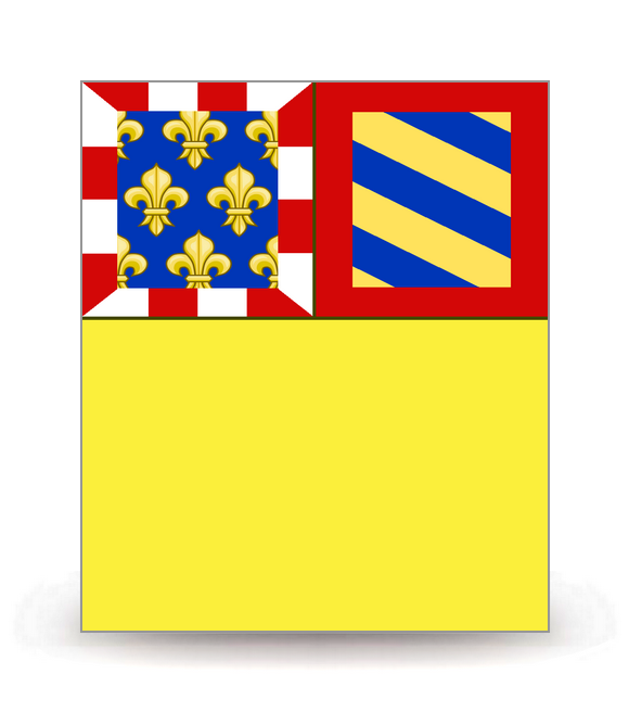 21 Côte-d'Or - Drapeau Ajusté