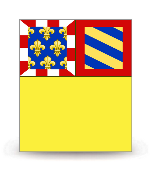 21 Côte-d'Or - Drapeau Ajusté