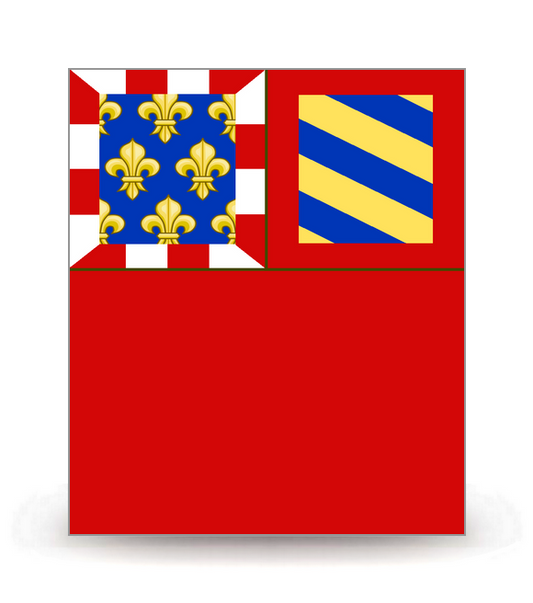 21 Dijon - Drapeau Ajusté