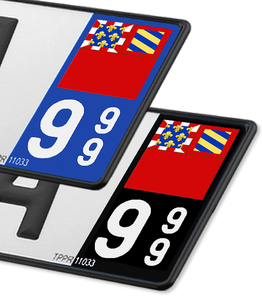 21 Dijon - Drapeau Ajusté