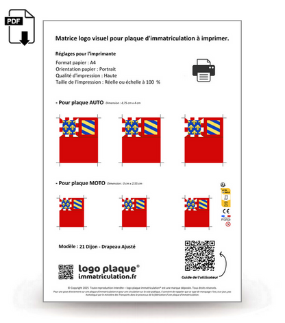 21 Dijon - Drapeau Ajusté