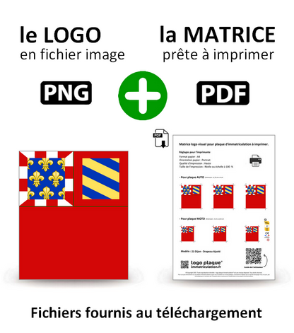 21 Dijon - Drapeau Ajusté