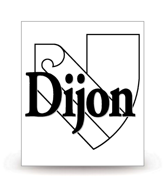 21 Dijon - Ville (2024) - Autocollant plaque immatriculation®