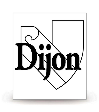 21 Dijon - Ville (2024) - Autocollant plaque immatriculation®