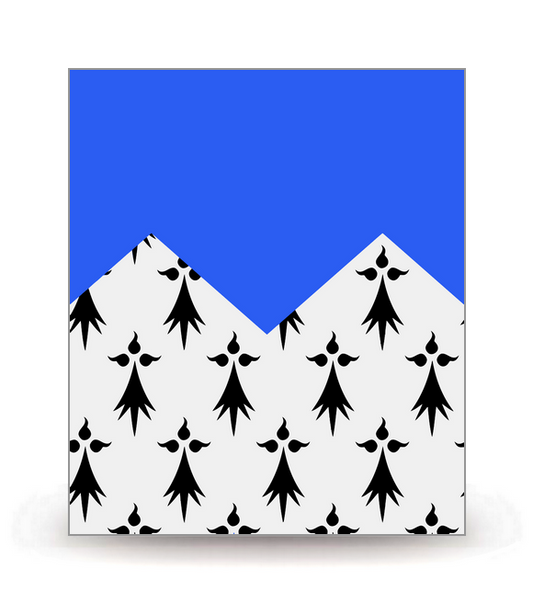 22 Côtes-d’Armor - Drapeau Ajusté - Autocollant plaque immatriculation®