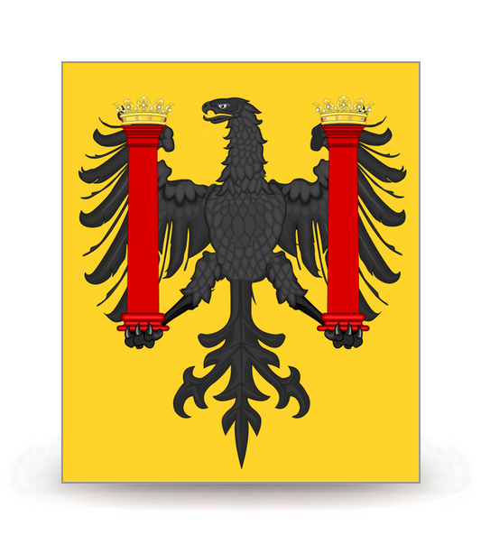 25 Besançon - Drapeau Ajusté