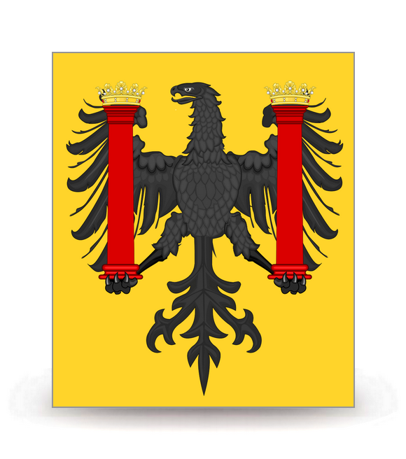 25 Besançon - Drapeau Ajusté - Autocollant plaque immatriculation®